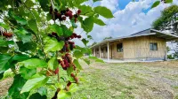 BambooZinc Campstay, Pekan Nabalu - Cho phép mang theo thú cưng