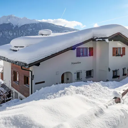 Schumellins (Laa400)