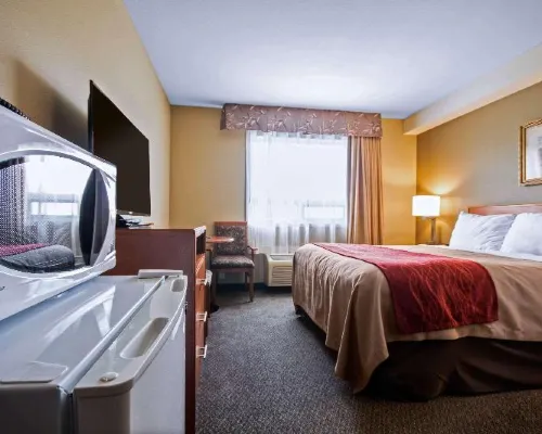 Comfort Inn & Suites Hotels in Langley Township