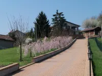 Casa Vacanze Casa Dei Ciliegi Ii - Antico Casale Nel Cuore Del Monferrato