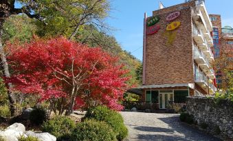 Yangyang Galcheon Family Resort