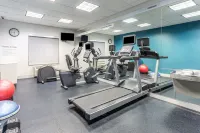 Holiday Inn Express & Suites WHITE HAVEN - POCONOS by IHG - Gym