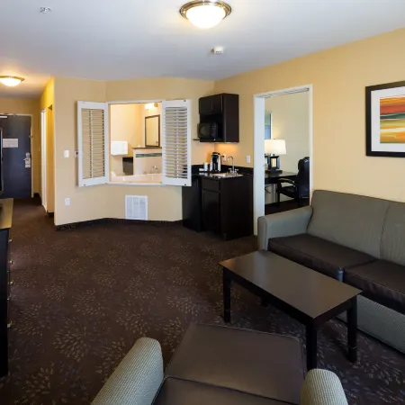 Holiday Inn Express & Suites DETROIT NORTH - TROY by IHG