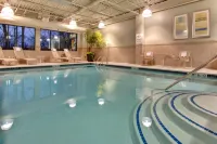 Holiday Inn Express & Suites DETROIT-NOVI by IHG - Pools