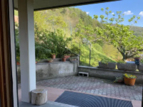 Angelina ルイノのホテル