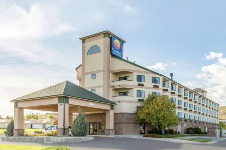 Comfort Inn & Suites Market - Airport