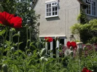 Motts Bed & Breakfast - Wifi