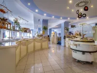 Hotel Alte Klavierfabrik Meißen Hotels in Meissen