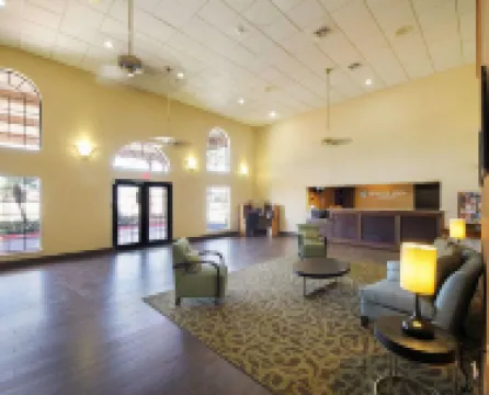 아메리카스 베스트 밸류 인 파/매캘런