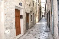 Apartment Bucevic