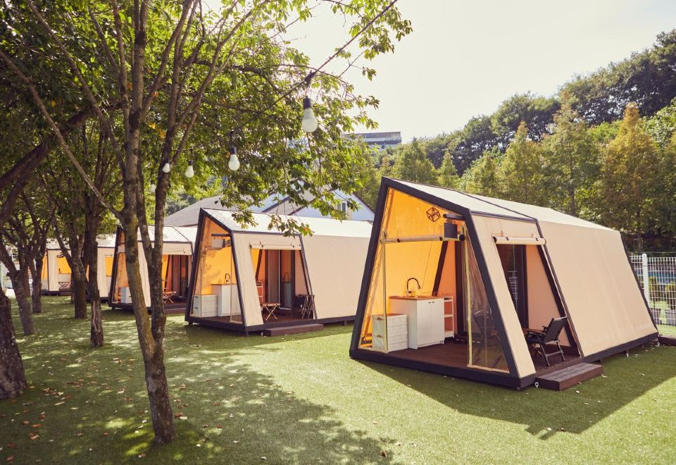 청도프로방스글램핑