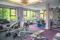 Falls Hotel & Spa - Gym