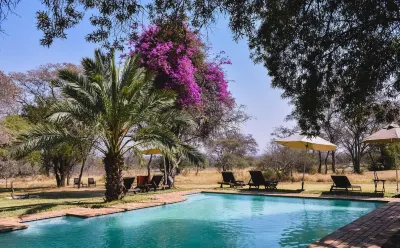Mziki Safari Lodge