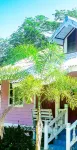 Ton Tawan Resort