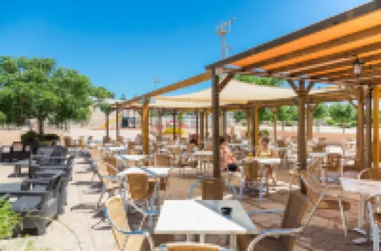 Comitas Isla del Aire