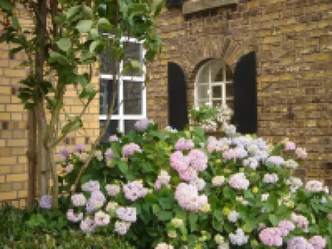 Land-Gut-Hotel Lohmann Hotels in Rinkerode