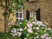 Land-gut-Hotel Lohmann Hotels in Sendenhorst