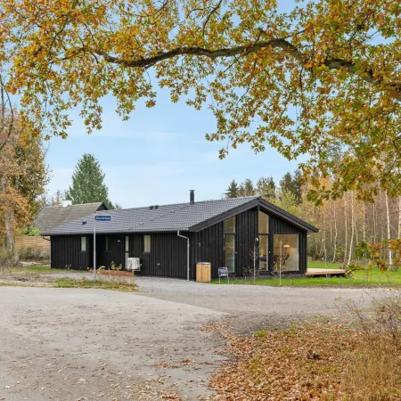 "Ellin" - 800m from the Sea