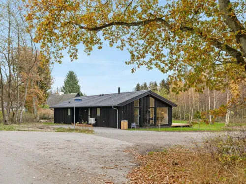 "Ellin" - 800m from the Sea