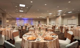 Holiday Inn Washington-Dulles Intl Airport