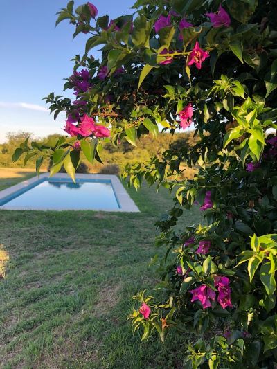 Outdoor Swimming Pool