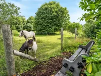 "Maileen" - 2.1km to the Fjord