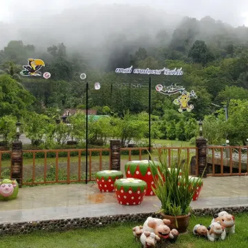 Khaosok Rainforest Resort Hotels near Khao Sok