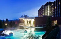 Ensana Thermal Aqua - Pools