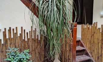 Langzhong Fuyou Homestay