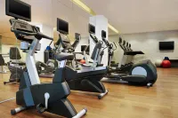 西安威斯汀大酒店（大雁塔大唐不夜城店） - 健身室/gym room