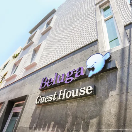 Beluga Guest House - Hostel