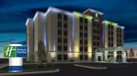 Holiday Inn Express Chicago NW - Arlington Heights Hotels in Elk Grove Township