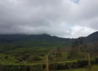 Lotus Hotel and Resorts Munnar