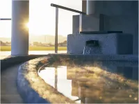 Shonai Hotel Suiden Terrasse - Hot Springs