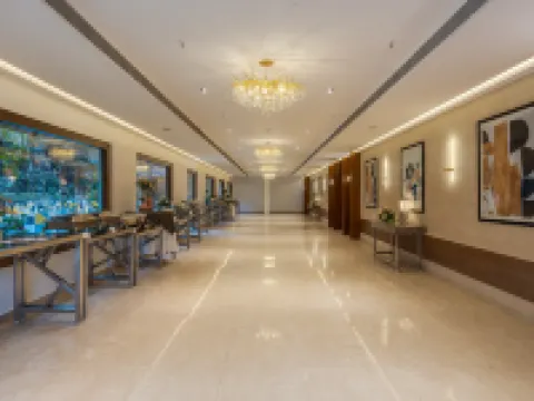 邁索爾南方之星酒店 邁索爾酒店