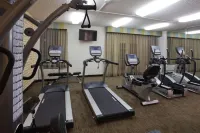 La Quinta Inn & Suites by Wyndham Houston Stafford Sugarland - Gym