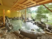 Tochigi Onsen Oyama Ryokan - Hot Springs