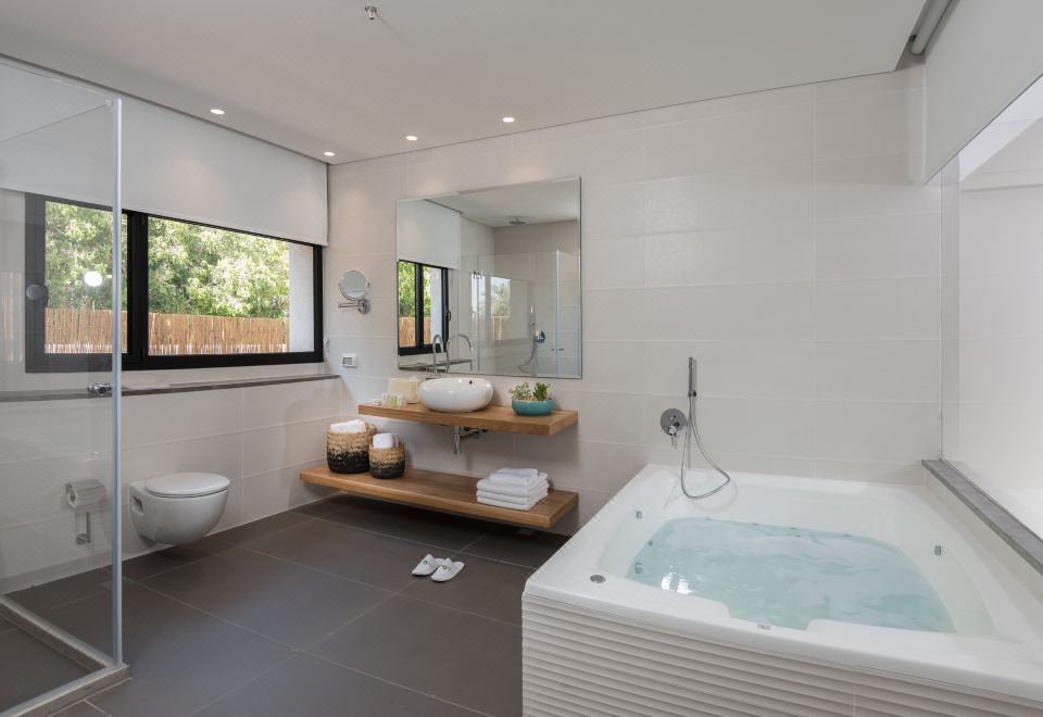 Oasis Dead Sea Hotel Over view