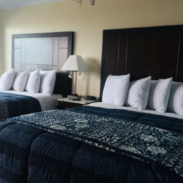 Dolphin Cove Motel