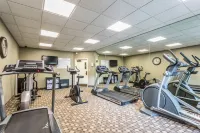 Quality Inn of Paris, TN Hotels in Paris