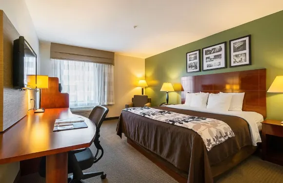 曼徹斯特舒眠酒店及套房