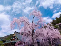 Zuien Country Club Century Fuji Course Hotels in Nanbu