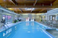 DoubleTree by Hilton Akron Fairlawn - Pools