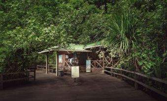 Permai Rainforest Resort