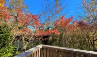 Miyabi Kowakudani Onsen Besso Hotels in Hakone