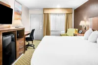 Best Western Skyline Motor Lodge - Wifi