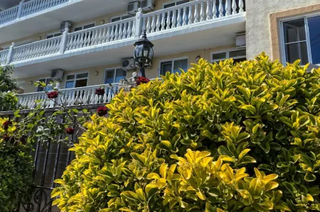 Sanset Hill Guest House Отели рядом с достопримечательностью «Flipper Diving Club»