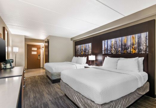 베스트 웨스턴 야외 수영장