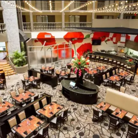 DoubleTree Suites by Hilton McAllen