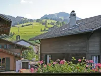 Pfander Hotels in Zweisimmen